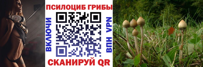 где купить наркоту  Великий Устюг  Псилоцибиновые грибы мицелий 