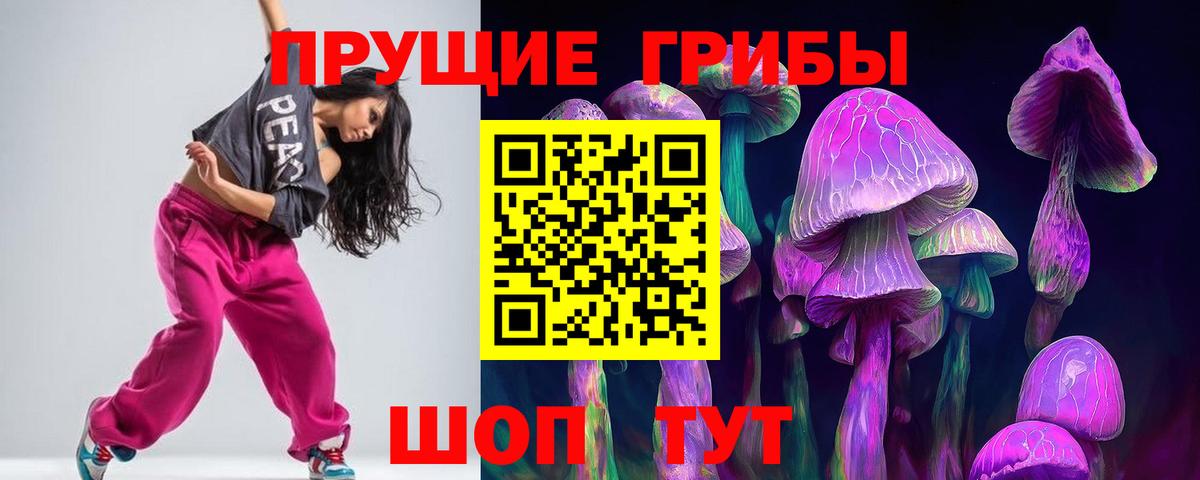 Галлюциногенные грибы прущие грибы Великий Устюг