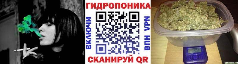 Канабис индика  Великий Устюг 